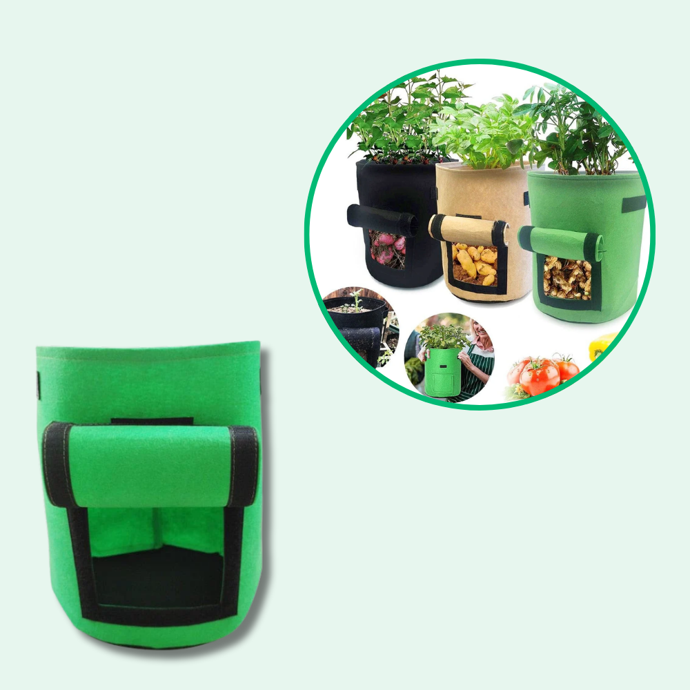 Crescimento do saco de cultivo de batata