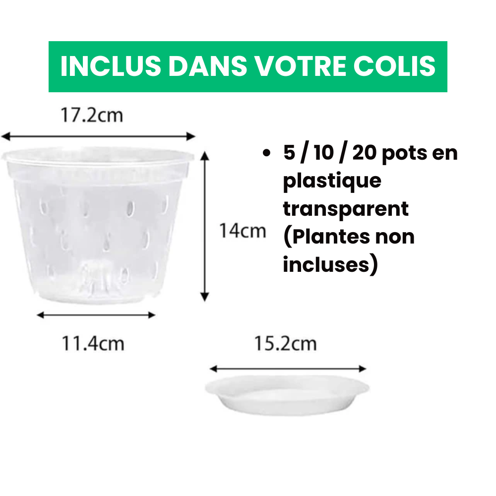 Vasos de cultivo transparentes aerados premium