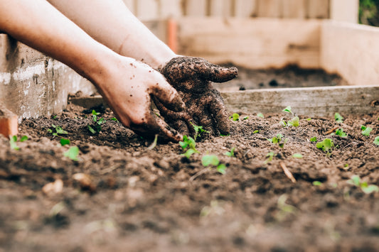 Les différentes techniques de jardinage en fonction de votre espace