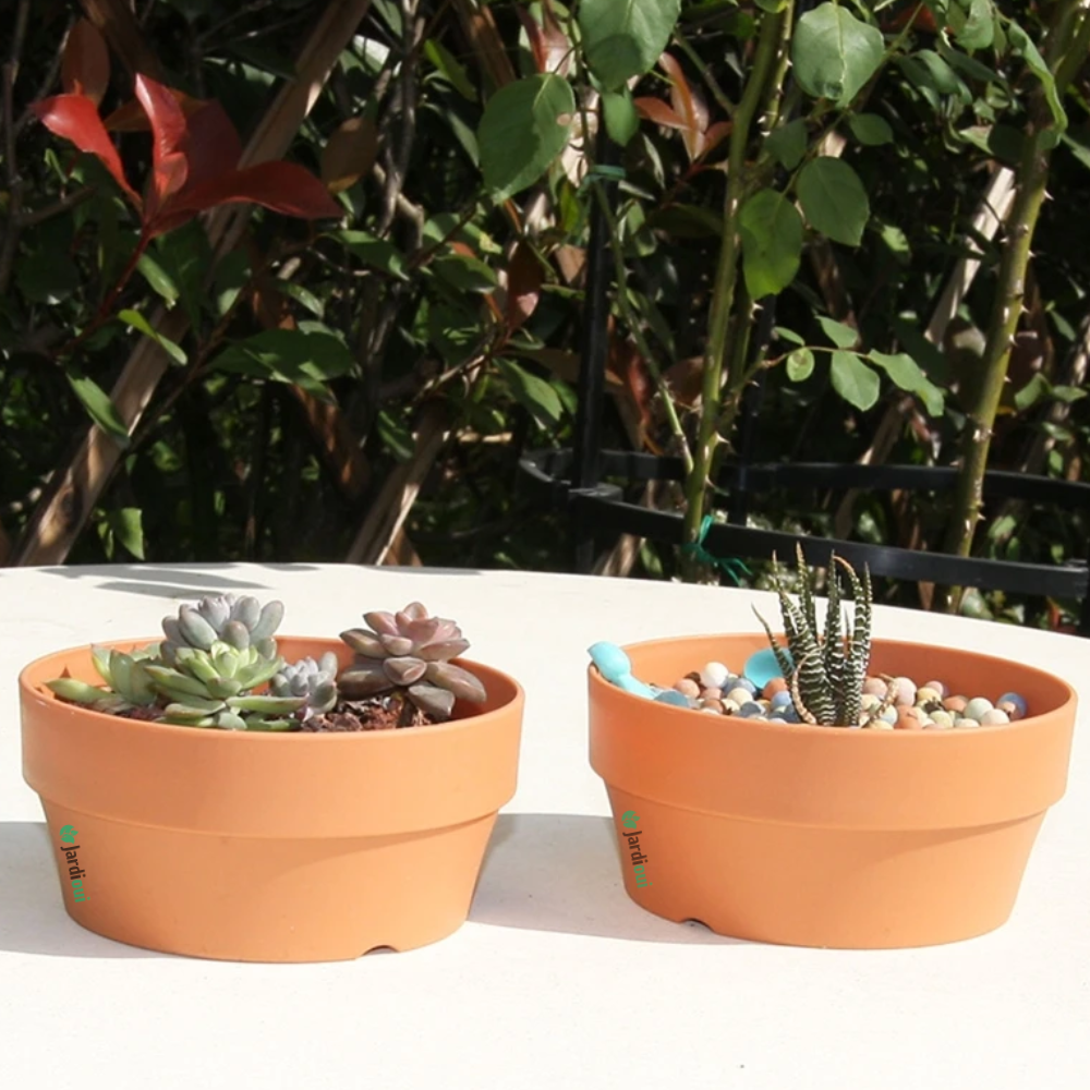 Vasos ecológicos de terracota (4 + 2 grátis)