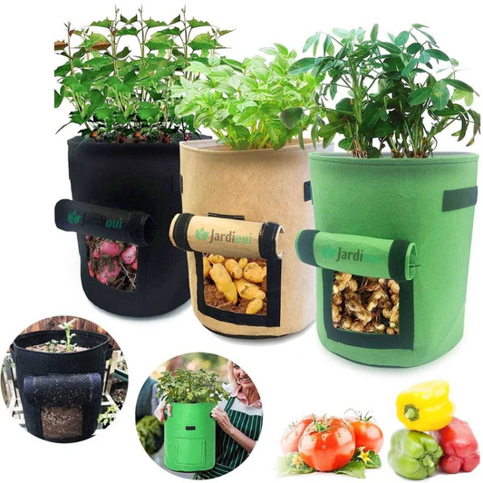 Crescimento do saco de cultivo de batata