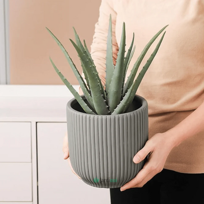 Vaso de flores de cerâmica elegante