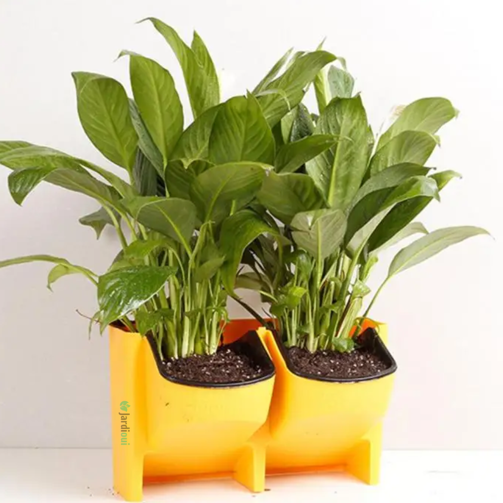 Plantador vertical com rega automática (1 peça)