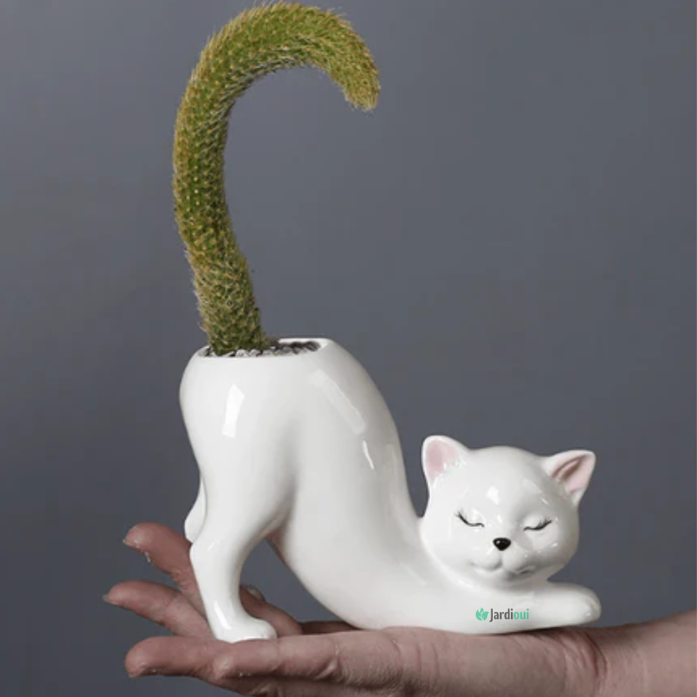 Adorável vaso de flores para gatos