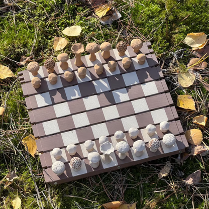 Échiquier Champignons Magnétique Fantaisiste