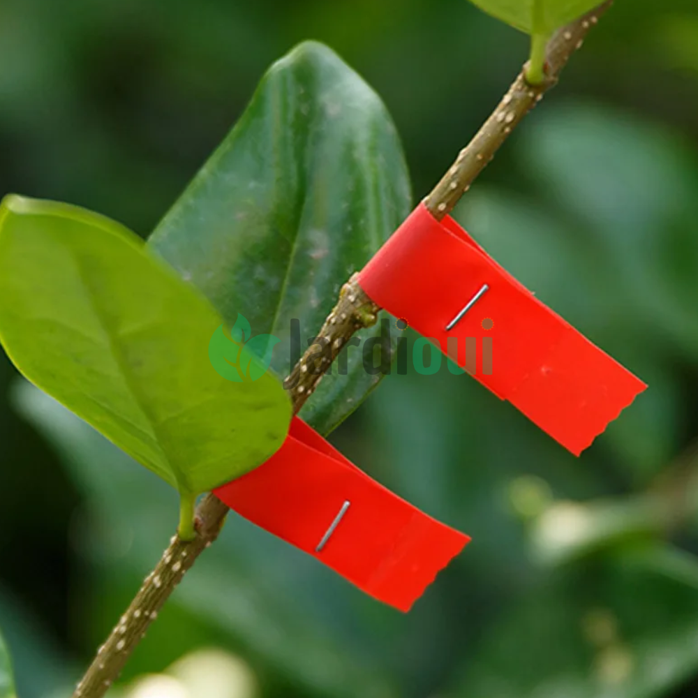 Alicate de treinamento - Acessório de ramo revolucionário