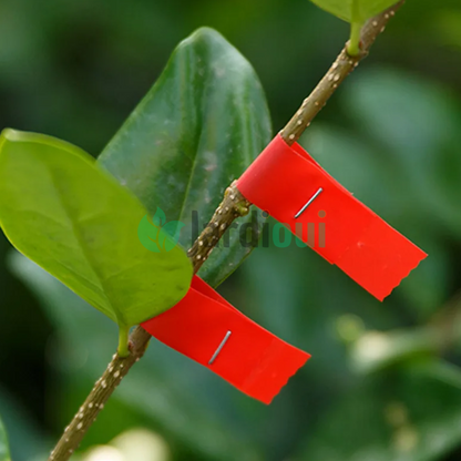 Alicate de treinamento - Acessório de ramo revolucionário