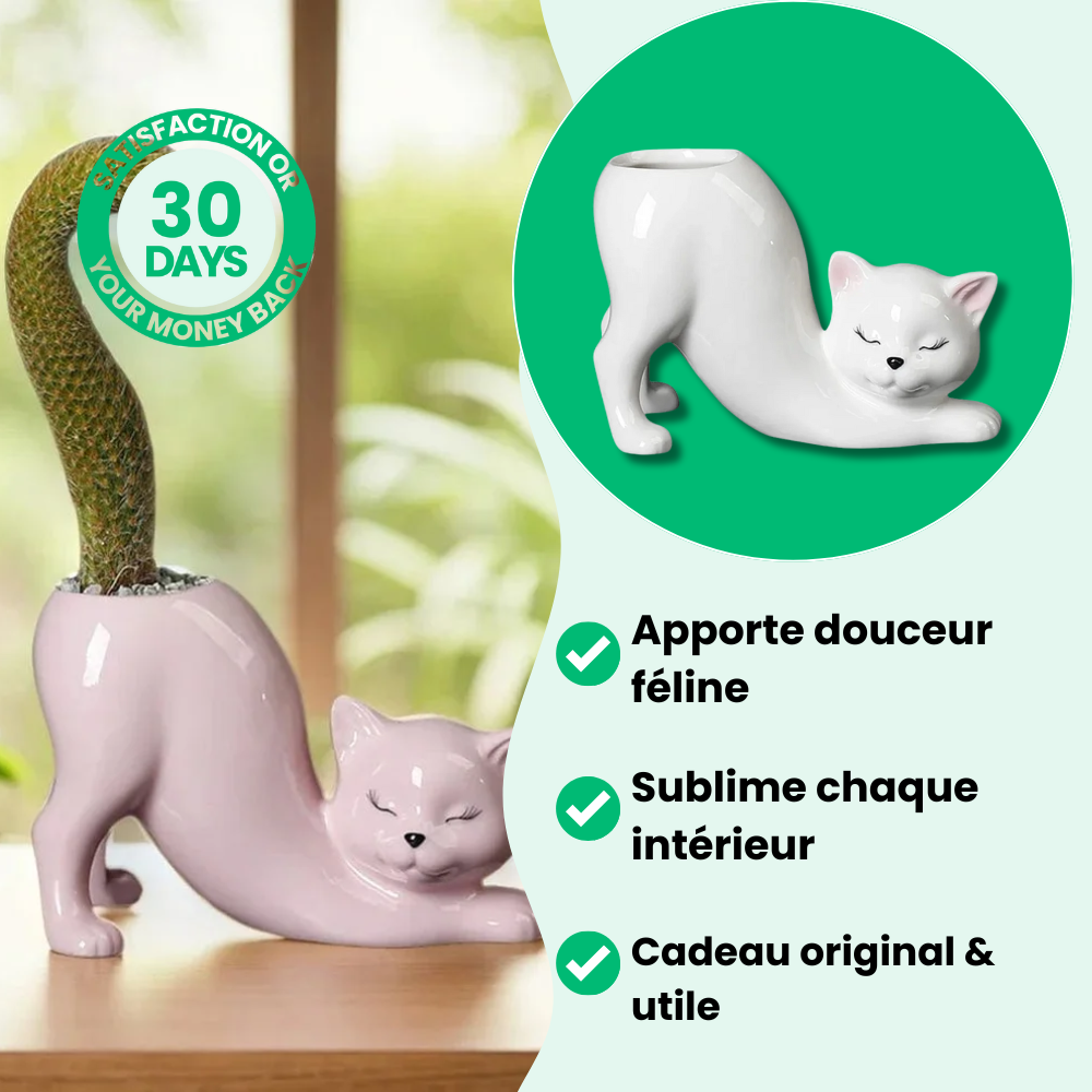 Adorável vaso de flores para gatos