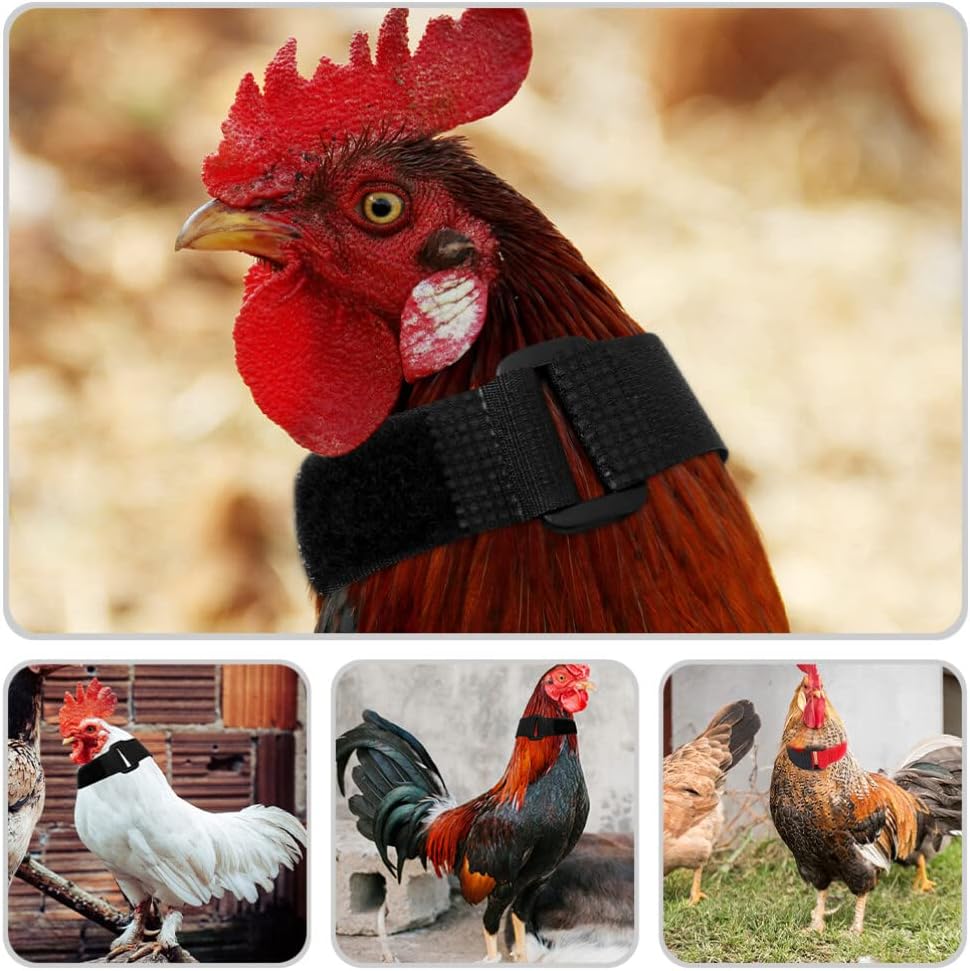 Collier Anti-Cri Réglable pour Poulets