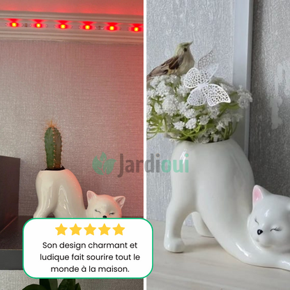 Adorável vaso de flores para gatos