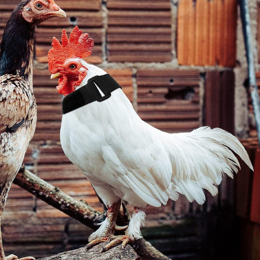 Colar Anti-Grito Ajustável para Frangos