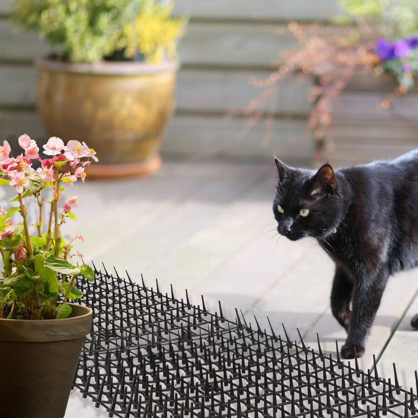 Tapete Protetor Suave e Respeitador dos Animais
