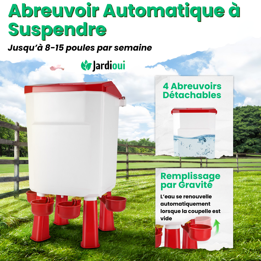 Mangeoire et Abreuvoir Poule Automatique