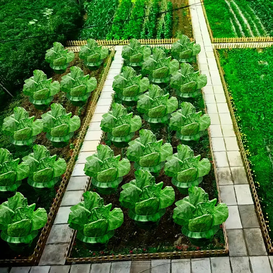 Collier Anti-Escargot Réutilisable pour Plantes