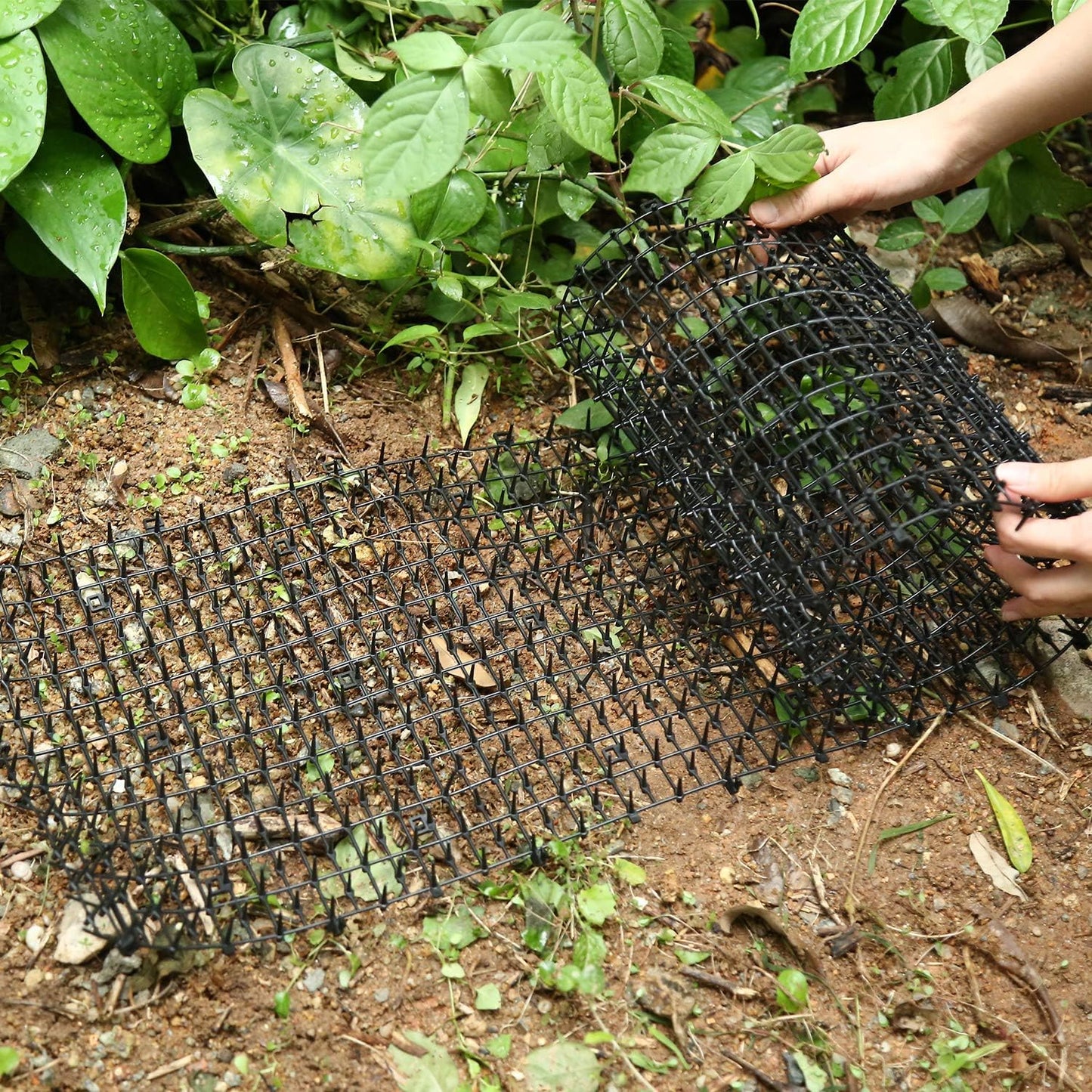 Tapete Protetor Suave e Respeitador dos Animais