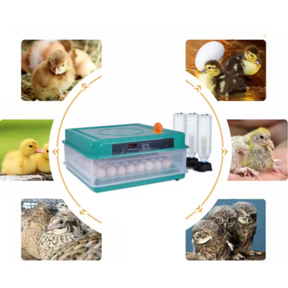 Professional Automatic Egg Incubator Chicken Coop