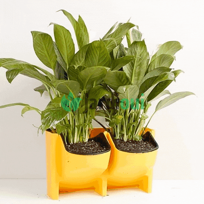 Plantador vertical com rega automática (1 peça)