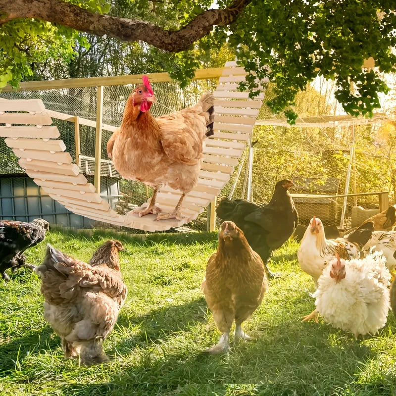 Jardioui Balançoire Suspendue pour Poulailler