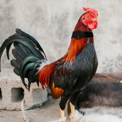 Jardioui Collier Anti-Cri Réglable pour Poulets