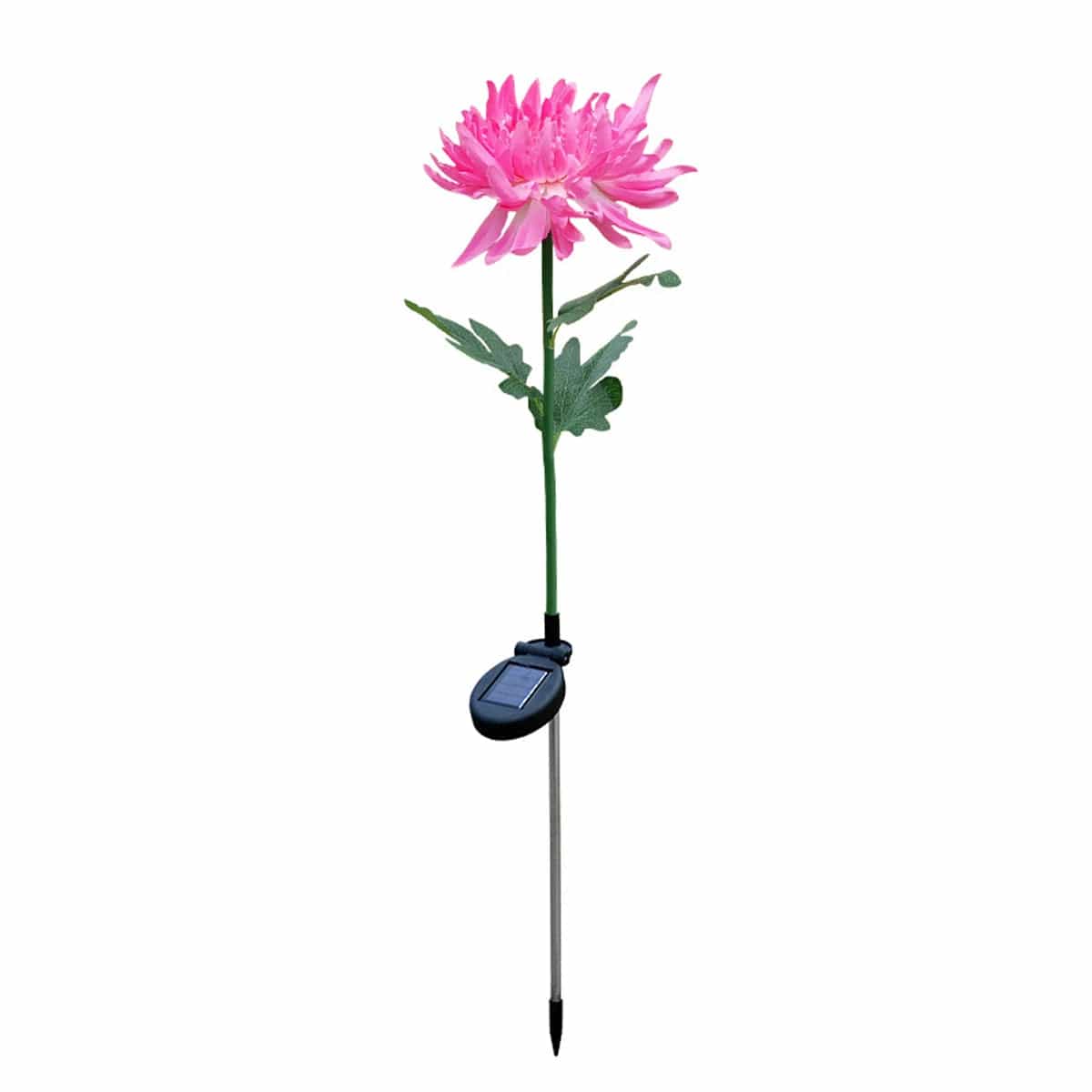 Jardioui Lampe Solaire Éclatante Rose Chrysanthème