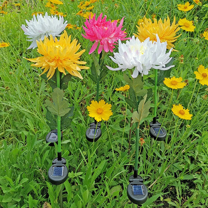 Jardioui Lampe Solaire Éclatante Rose Chrysanthème