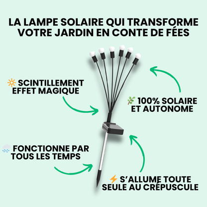 Jardioui Lampes LED Lucioles à Énergie Solaire - Offre Spéciale