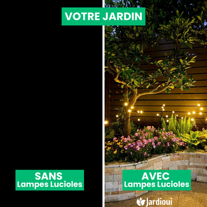 Jardioui Lampes LED Lucioles à Énergie Solaire - Offre Spéciale
