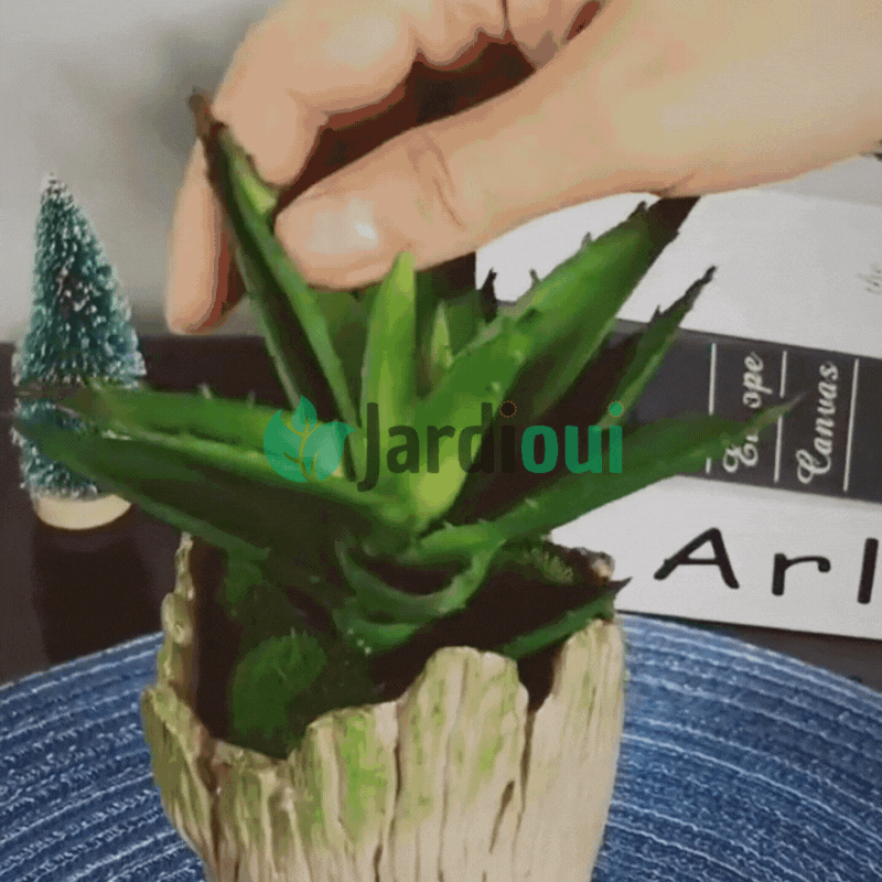 Jardioui Pot de Plantes Fantaisiste "Gardien de la Forêt"