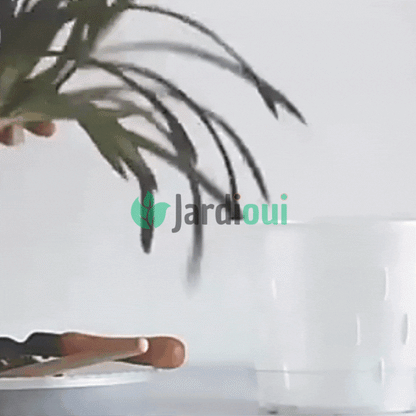 Jardioui Pots de Culture Transparents Aérés Premium