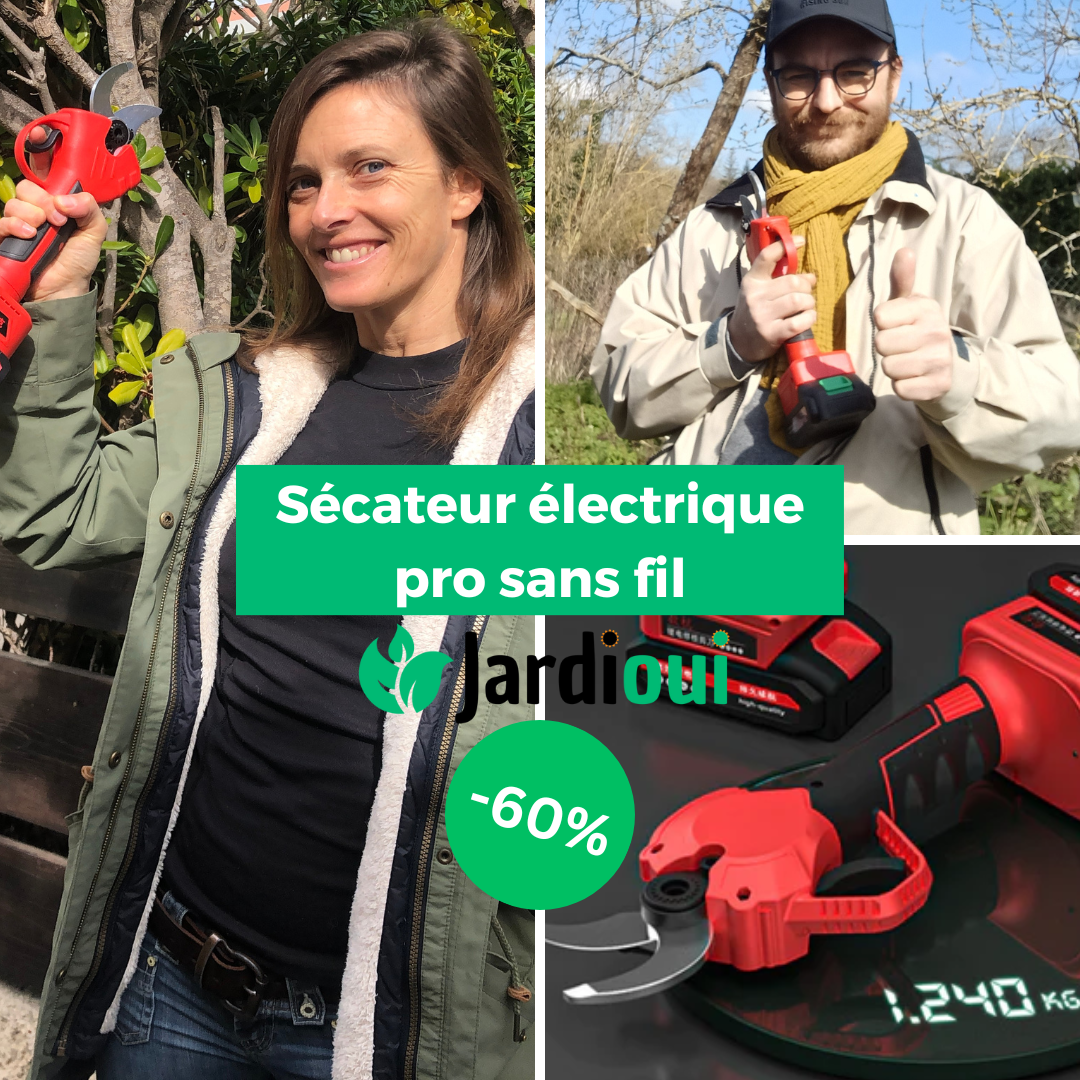 Jardioui Sécateur électrique pro sans fil (+Batterie Offerte)