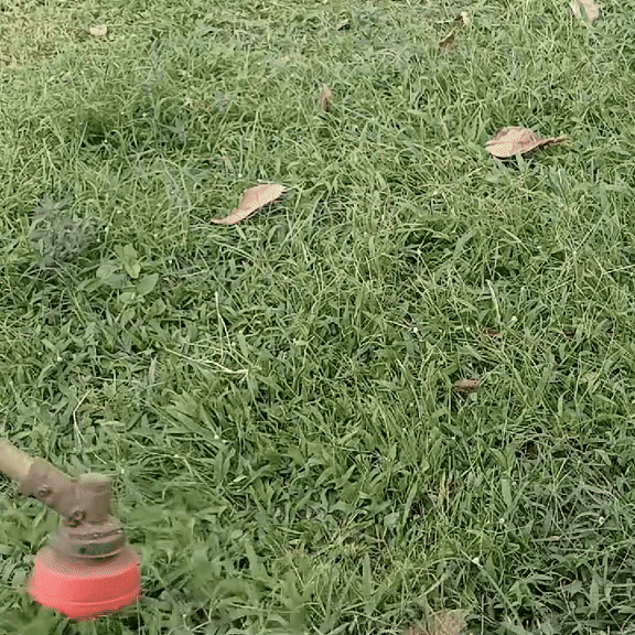 Cabeça de corte universal inquebrável