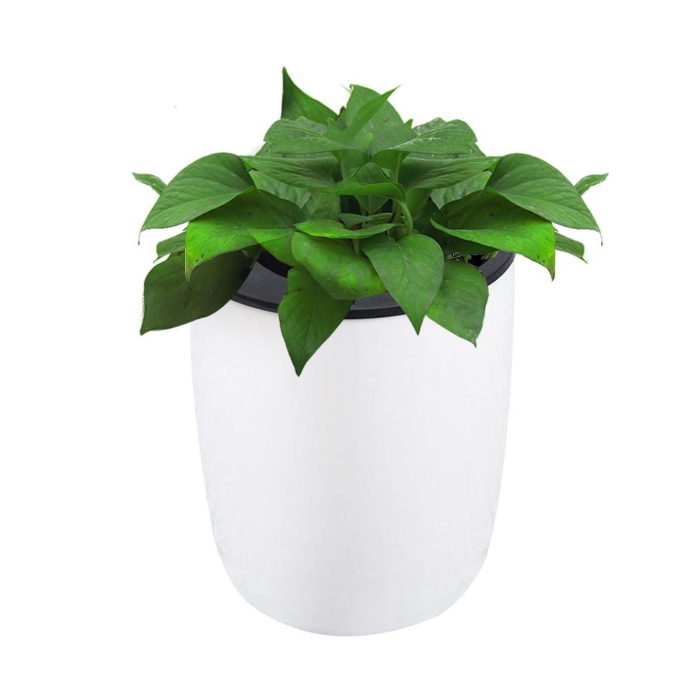 frJardioui Porte Plante Mural Décoratif à Suspendre