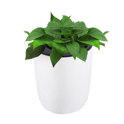 frJardioui Porte Plante Mural Décoratif à Suspendre